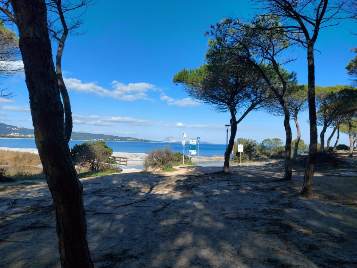 Villetta Gallura 13 Budoni Exterior photo